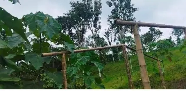 San Miguel de Los Bancos Terreno de Venta — imagen 3