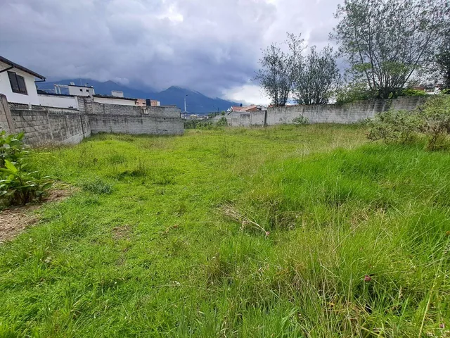 Terreno en Venta en Urbanización Portón de Bellavista — imagen 2