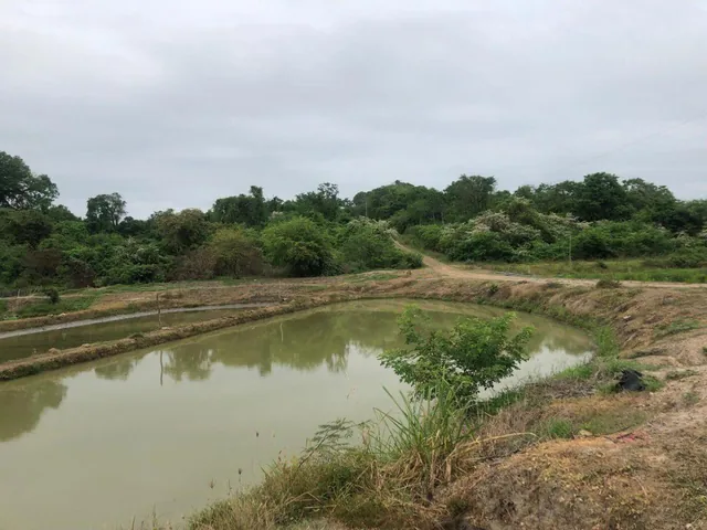 Macrolote de Venta en Daular, Guayas — imagen 3