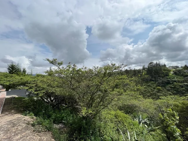 Terreno en Venta Sector Puembo — imagen 5