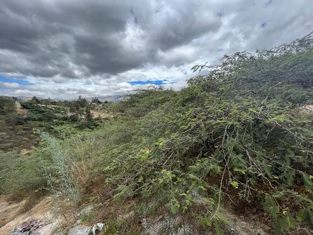 Terreno en Venta Sector Puembo — imagen 4
