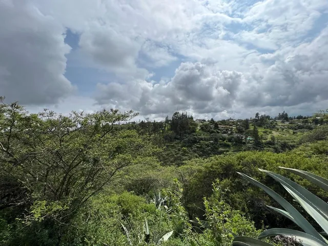 Terreno en Venta Sector Puembo — imagen 3