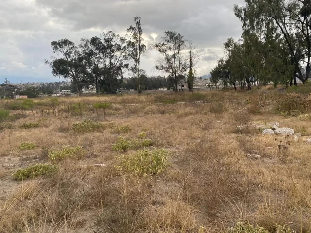 Terreno de 24900 m² en Venta en Calderón — imagen 5