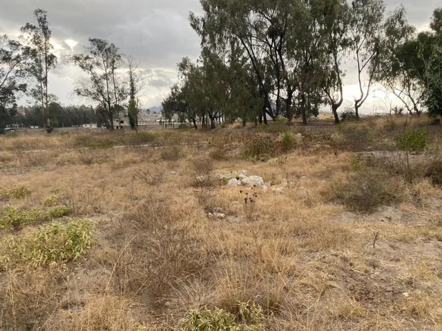 Terreno de 24900 m² en Venta en Calderón — imagen 2