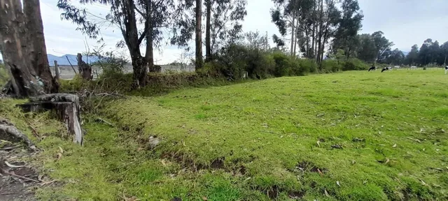 Terreno de Venta en El Valle de Los Chillos, Sector Inchalillo. 8973 m. Provincia de Pichincha — imagen 3