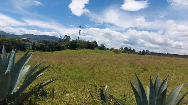 Venta Terreno Esquinero, Alangasi, Valle de Los Chillos — imagen 3