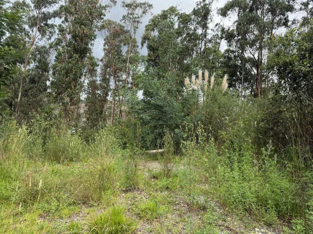 Terreno Dentro de Urbanizacion en Guangarcucho, Azuay — imagen 2