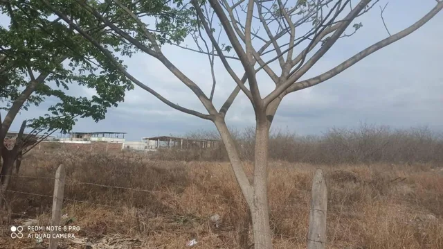 Terreno en Venta Las Orquideas Manta Zona Norte, Manabí — imagen 5