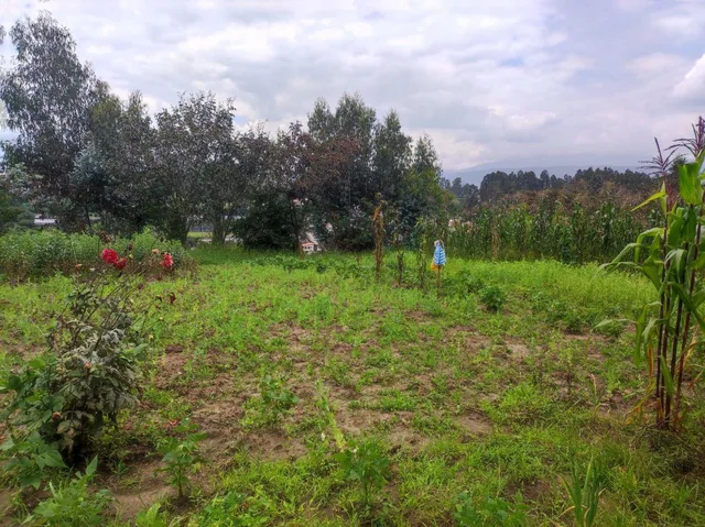 Venta Terreno Alangasi – Valle de Los Chillos, Terreno Plano — imagen 4