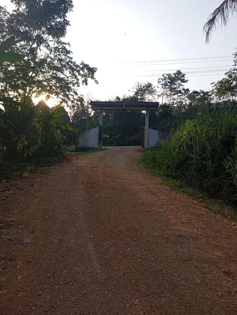 Se Vende Hermosa Finca de Una Hectaria en Puerto Quito con Casa de 108 m² — imagen 4