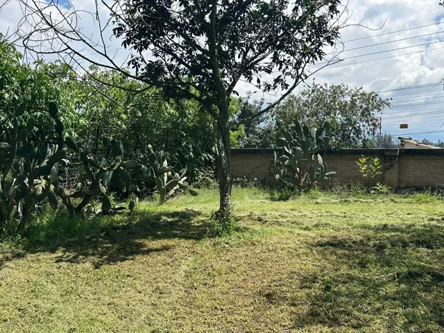 Terreno de Venta en Puembo — imagen 5