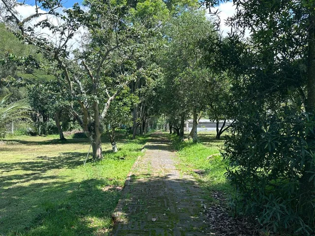 Terreno de Venta en Puembo — imagen 2