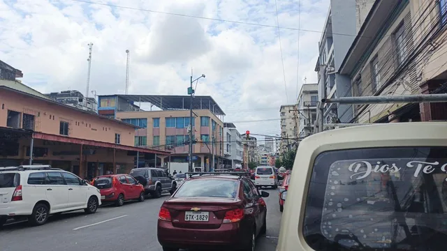 Vendo Terreno Zona Centrica 6 de Marzo y Alcedo, Guayas — imagen 5
