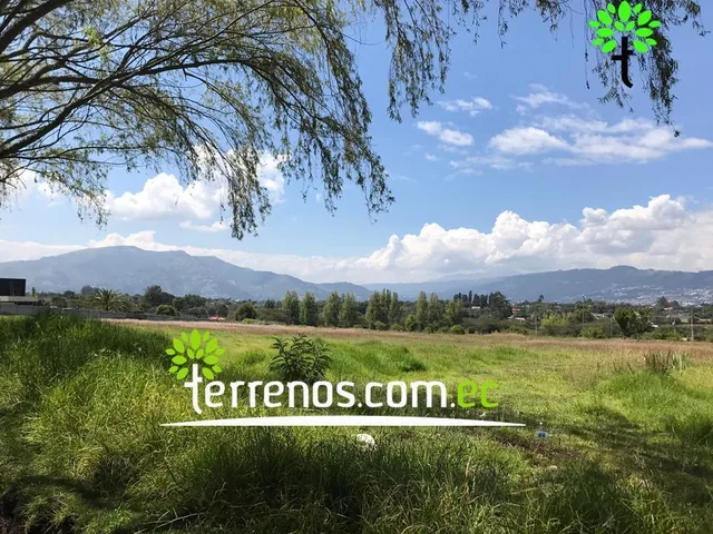 Terreno Unifamiliar en Venta, 3355,51 m². Tumbaco - Plaza Hilacril. Provincia de Pichincha — imagen 3