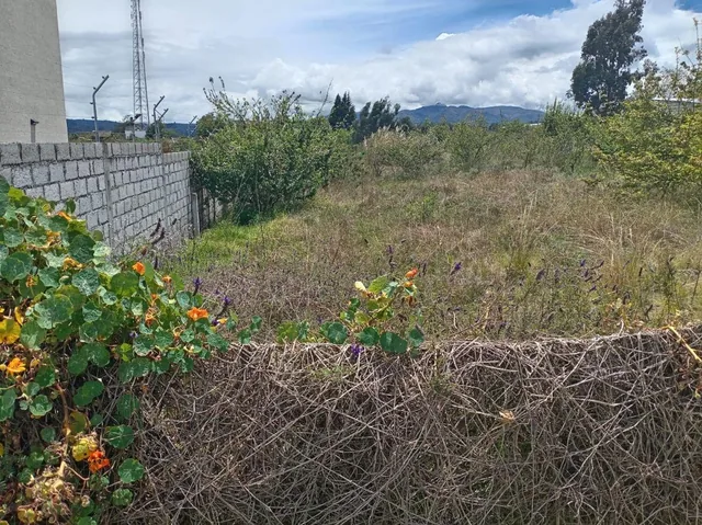 Terreno en Venta 1497,75 m Montalvo - Ambato, Tungurahua — imagen 4