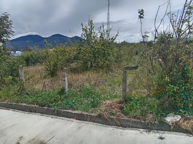 Terreno en Venta 1497,75 m Montalvo - Ambato, Tungurahua — imagen 2