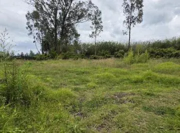 Terreno en Renta de 2.500 m² – Puembo, Barrio San José – Usd 500 Mensuales — imagen 5