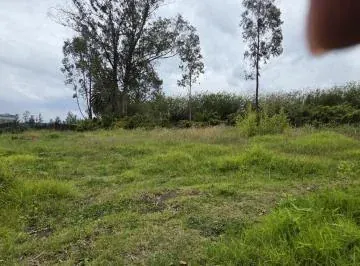 Terreno en Renta de 2.500 m² – Puembo, Barrio San José – Usd 500 Mensuales — imagen 4