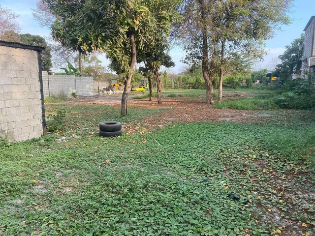 Dos Terreno en Zona Comercial en Sociedad Civil Vergeles, Guayas — imagen 4