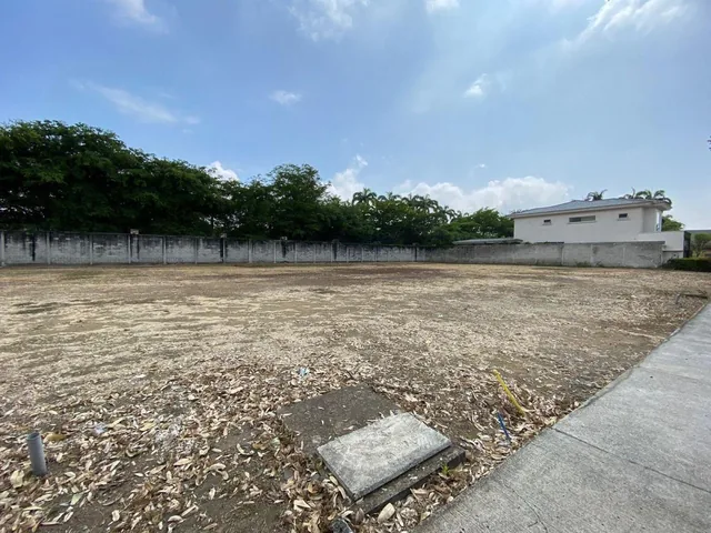 Terreno en Venta Ubicado en La Urb. Peninsula en Isla Mocoli - Samborondon, Guayas — imagen 4