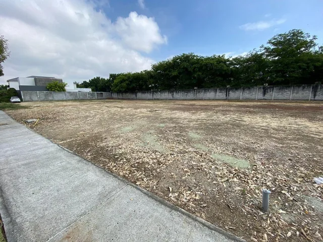 Terreno en Venta Ubicado en La Urb. Peninsula en Isla Mocoli - Samborondon, Guayas — imagen 3