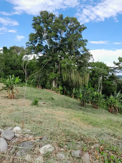 Tena - Vía a Misahualli - Vendo Propiedad de 12 Hectáreas - Acceso Propio, Napo — imagen 5