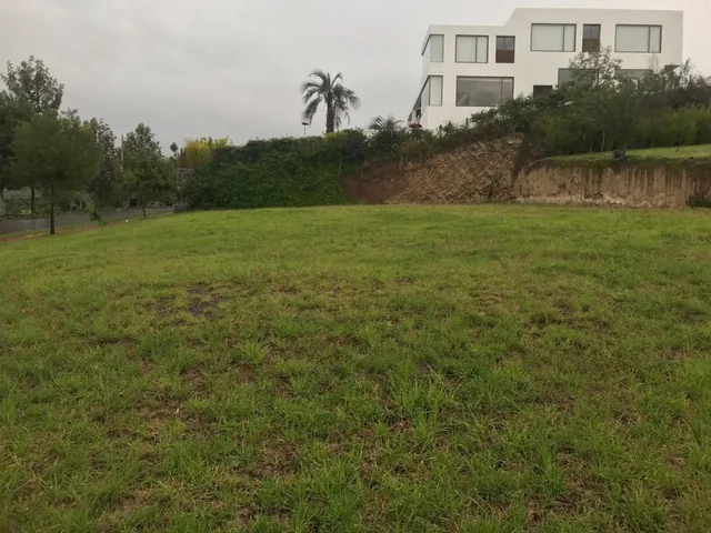 Vendo Terreno Plano y Esquinero Dentro de Urbanizacion La Quinta — imagen 3