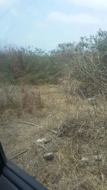 Terreno en Venta en Chanduy, Santa Elena — imagen 5