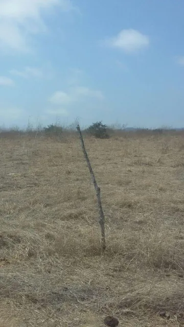 Terreno en Venta en Chanduy, Santa Elena — imagen 4