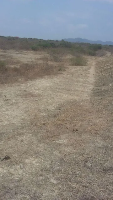 Terreno en Venta en Chanduy, Santa Elena — imagen 3