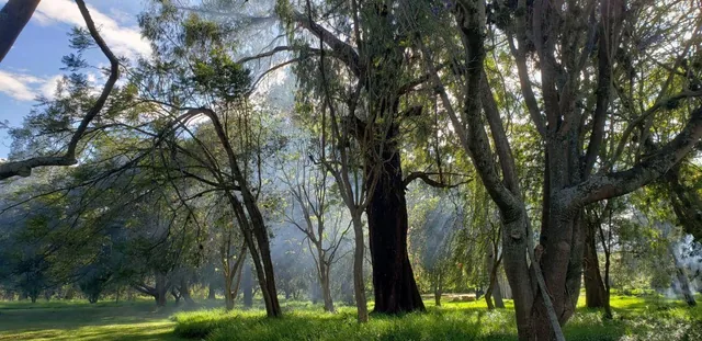 Venta Hermoso Terreno con Pequeña Casa en Yaruqui. con Pequeño Sembrio de Arándanos — imagen 5