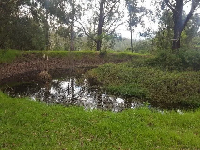 Venta Hermoso Terreno con Pequeña Casa en Yaruqui. con Pequeño Sembrio de Arándanos — imagen 3