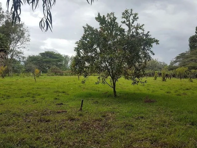 Venta Hermoso Terreno con Pequeña Casa en Yaruqui. con Pequeño Sembrio de Arándanos — imagen 2