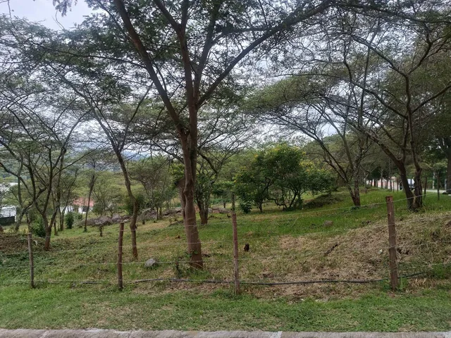 Vendo 2 Terrenos de 1250 m² en Urbanización en La Viña, Tumbaco — imagen 2
