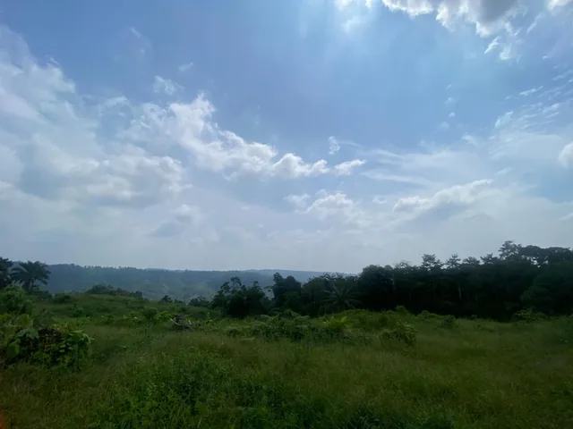Vendo 13 Hectáreas Cerca a Vía Pedro Vicente Maldonado - Puerto Quito — imagen 4