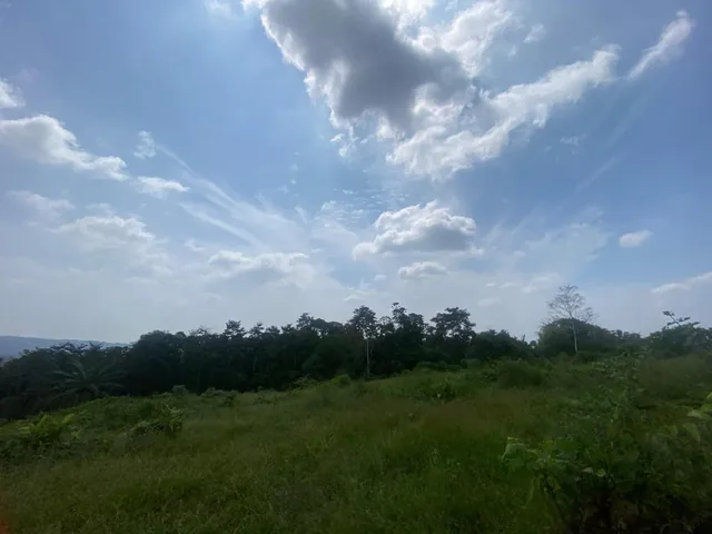 Vendo 13 Hectáreas Cerca a Vía Pedro Vicente Maldonado - Puerto Quito — imagen 3