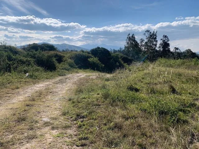 Vendo Terreno Industrial I3 2.5 Hac 117 m de Frente a La E35 $1.800.000,00 — imagen 5