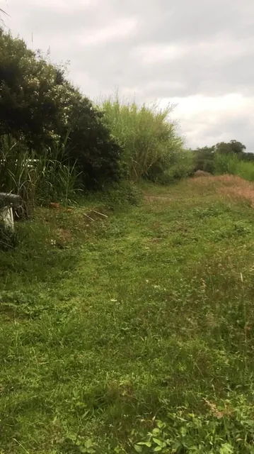 Amplio Terreno de 1000 m² en Venta en Tumbaco Chiviquí — imagen 5