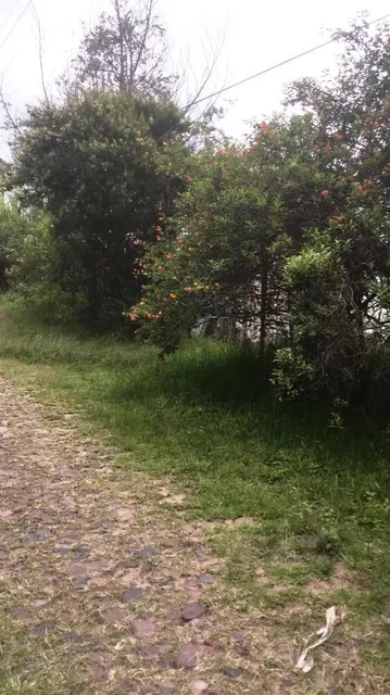 Amplio Terreno de 1000 m² en Venta en Tumbaco Chiviquí — imagen 2