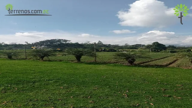 Terreno de Venta de 6.800 m² en Centro de Tababela — imagen 5