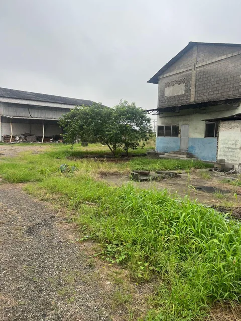 Venta 12.205.95 m² Sector Los Álamos, Norte de Guayaquil, Av C. L. Plaza Dañin y Av Elías Muñoz, Guayas — imagen 3