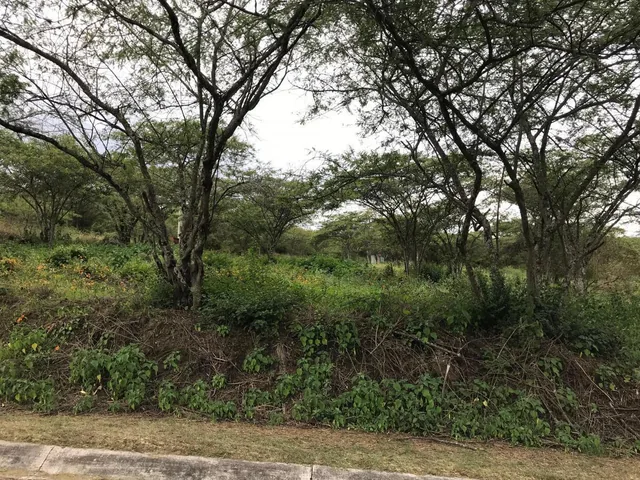Vendo Lote de Terreno en El Ilalo — imagen 4