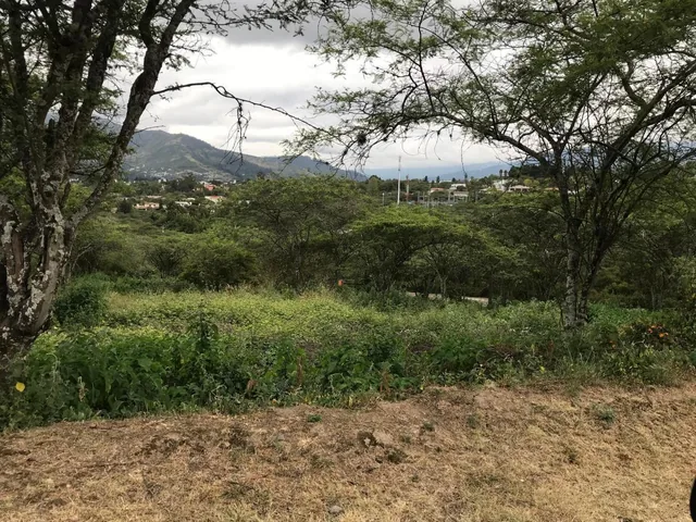 Vendo Lote de Terreno en El Ilalo — imagen 3