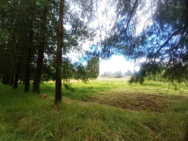 Terreno en Venta 20.597 m² Amaguaña - Cotogchoa — imagen 5