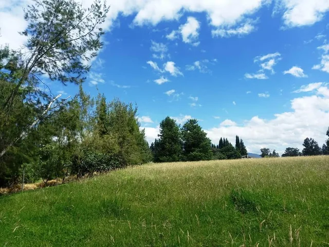 Terreno en Venta 20.597 m² Amaguaña - Cotogchoa — imagen 3