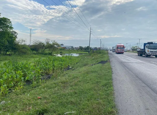 Venta de 32 Has Via Duran - Yaguachi, Km. 14.5, Al Pie de La Vía con 400 m, Guayas — imagen 4