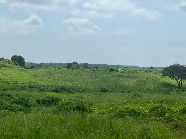 Venta de 32 Has Via Duran - Yaguachi, Km. 14.5, Al Pie de La Vía con 400 m, Guayas — imagen 3