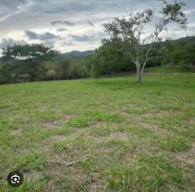Venta de 32 Has Via Duran - Yaguachi, Km. 14.5, Al Pie de La Vía con 400 m, Guayas — imagen 2
