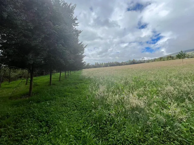 Vendo - Propiedad - Sector Machachi — imagen 4