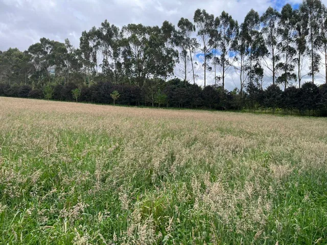 Vendo - Propiedad - Sector Machachi — imagen 3